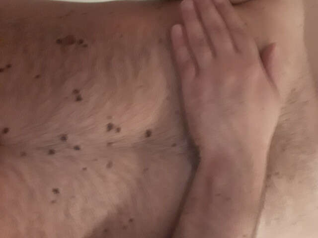 CHAKY free hard sexy photo