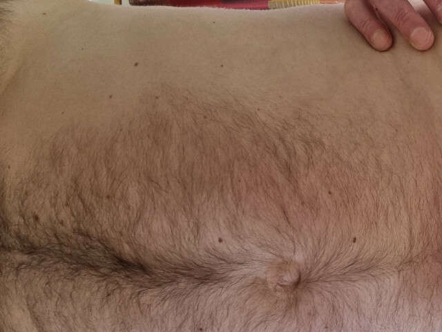 BEARJOHNSON free sexy photo