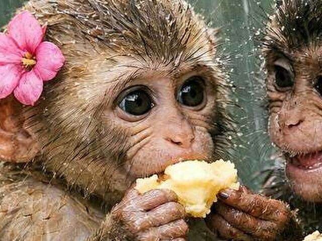 CNDYOL8979 free sexy photo